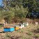 Wilde Bloemen rauwe honing uit Portugal