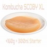 Kombucha SCOBY 160g + 300ml starter