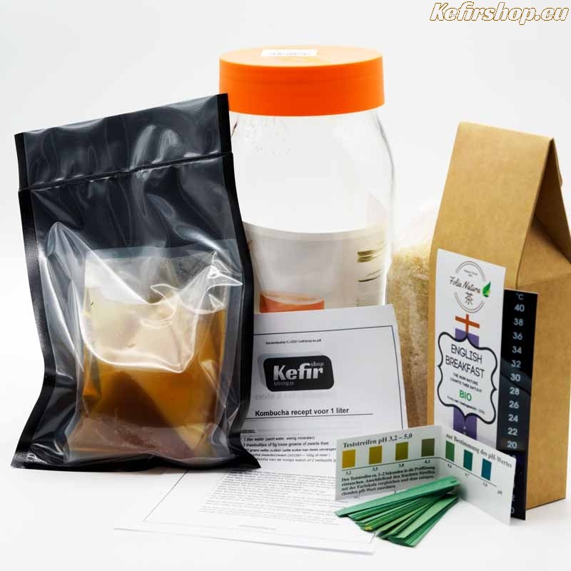Kombucha starter kit M Buy kefir grains - Milk kefir Grains, Water