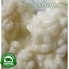 Milk Kefir - 15g live milk kefir grains