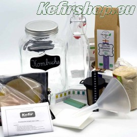 Kombucha-Starterpaket XL
